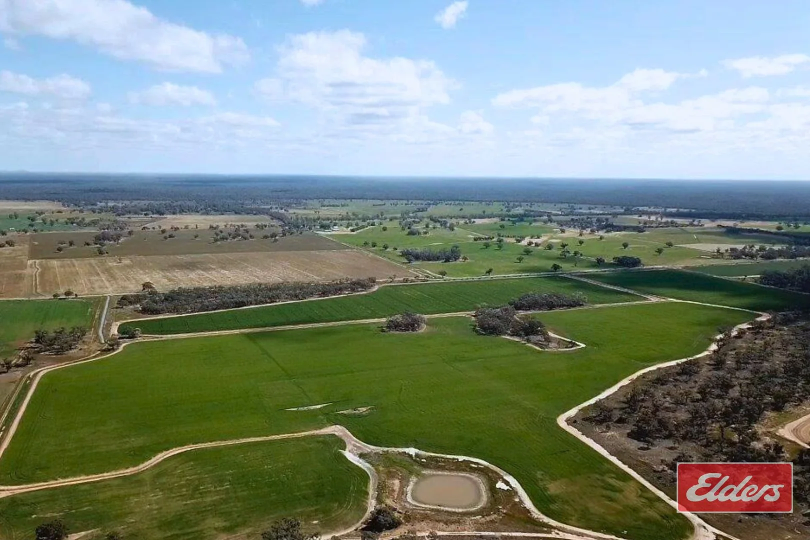 Additional image 5 of Perricoota, Bunnaloo NSW 2731