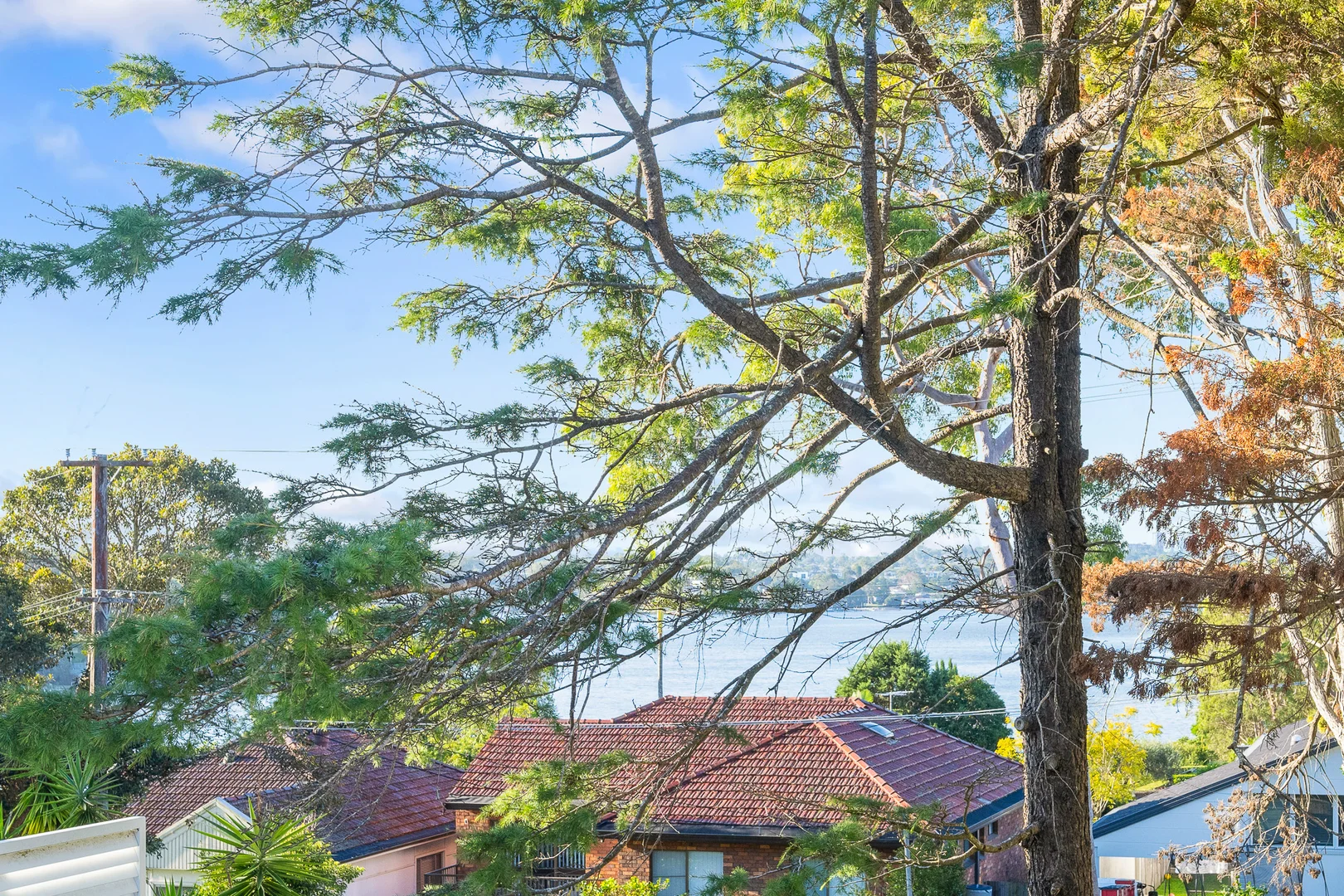 Additional image 13 of 76 Tara Street, Sylvania NSW 2224