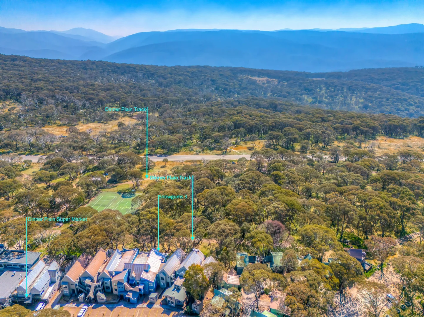 Additional image 19 of 3 Snowgums, Dinner Plain VIC 3898