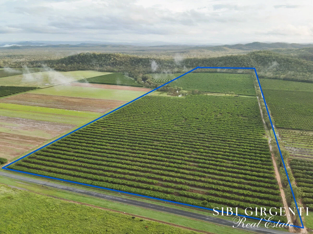 Additional image 2 of 263/71 Gilmore Road, Mareeba QLD 4880