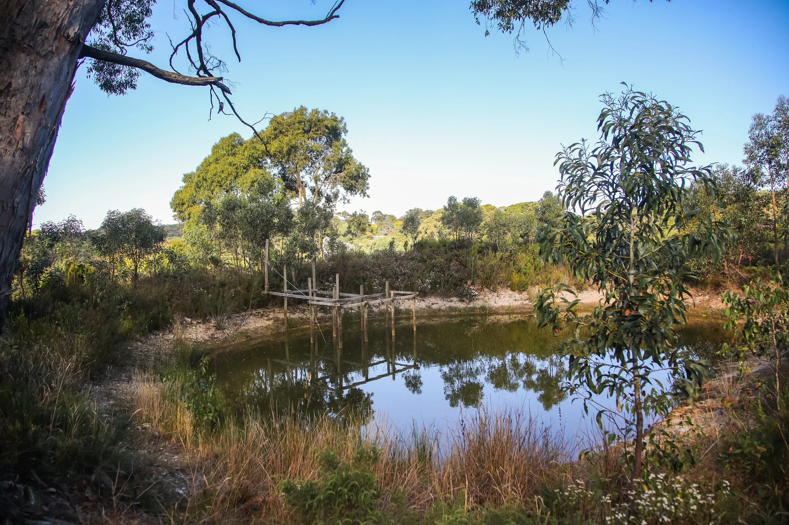 Additional image 17 of 290 Woods Hill Road, Ashton SA 5137