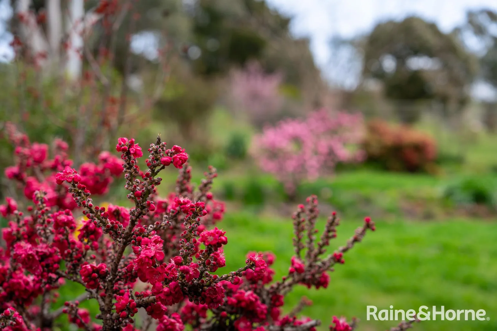 Additional image 19 of 2216 Freemantle Road, Freemantle NSW 2795