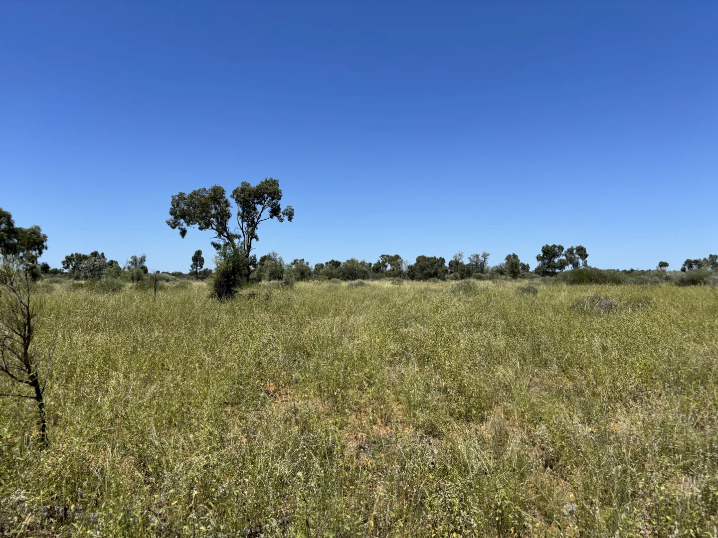 Additional image 7 of Lot 12 Capricorn Highway, Jericho QLD 4728