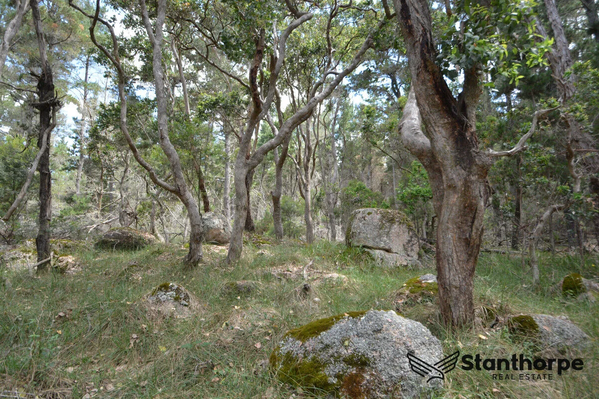 Additional image 22 of 240 Panoramic Drive, Sugarloaf QLD 4380