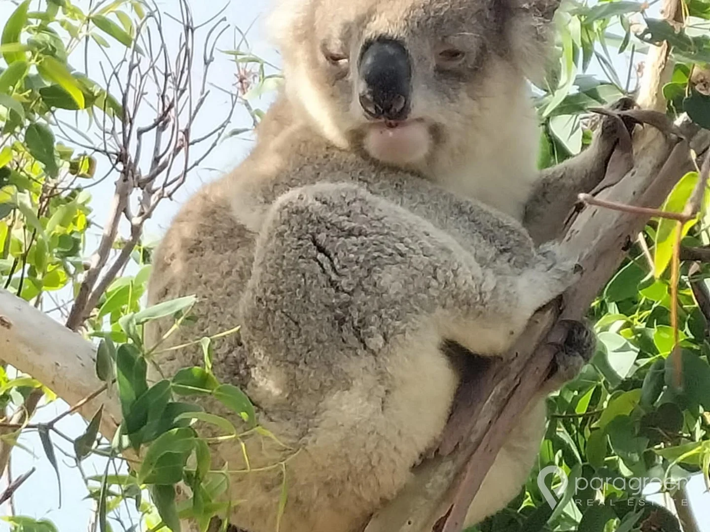 Additional image 20 of 34 The Boulevarde, Sandy Point VIC 3959
