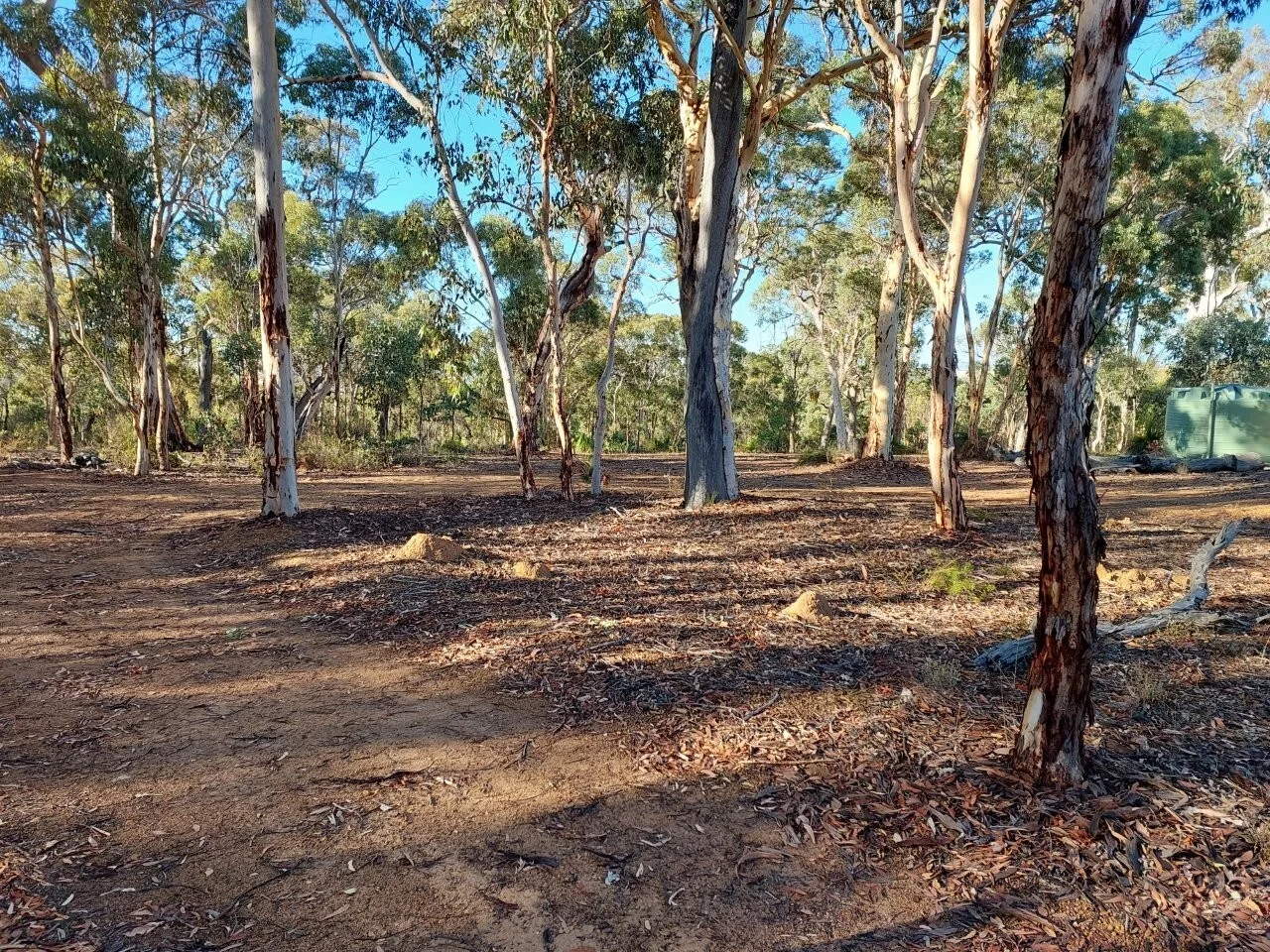 Additional image 11 of LOT 39 Laterite Way, Coondle WA 6566