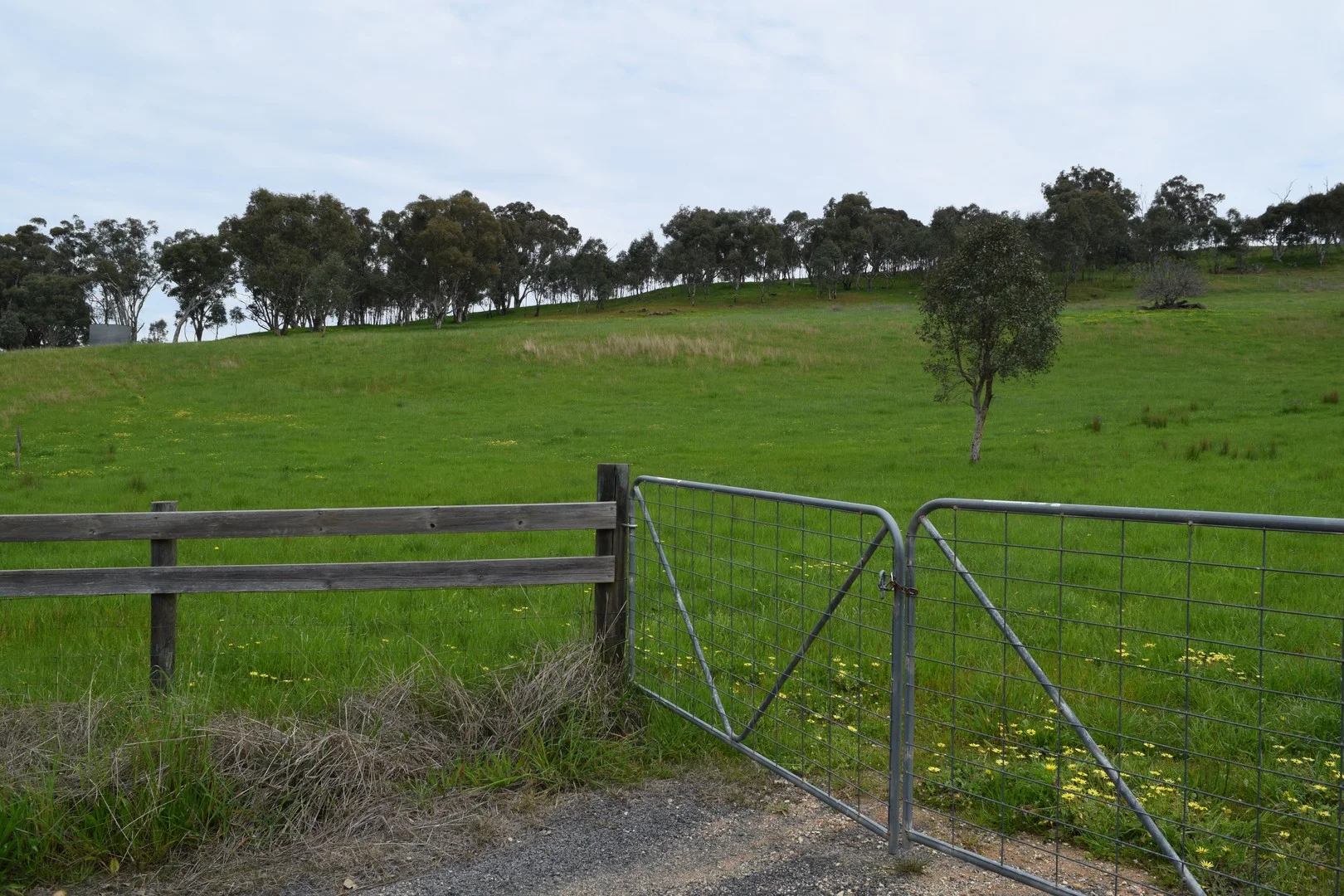 87 Splitters Creek Road, Splitters Creek NSW 2640