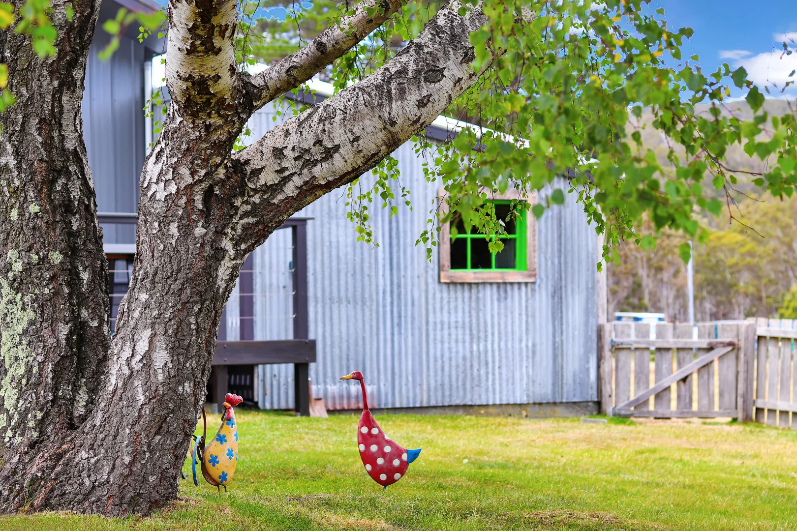 Additional image 28 of 15 Lee Street, Rossarden TAS 7213