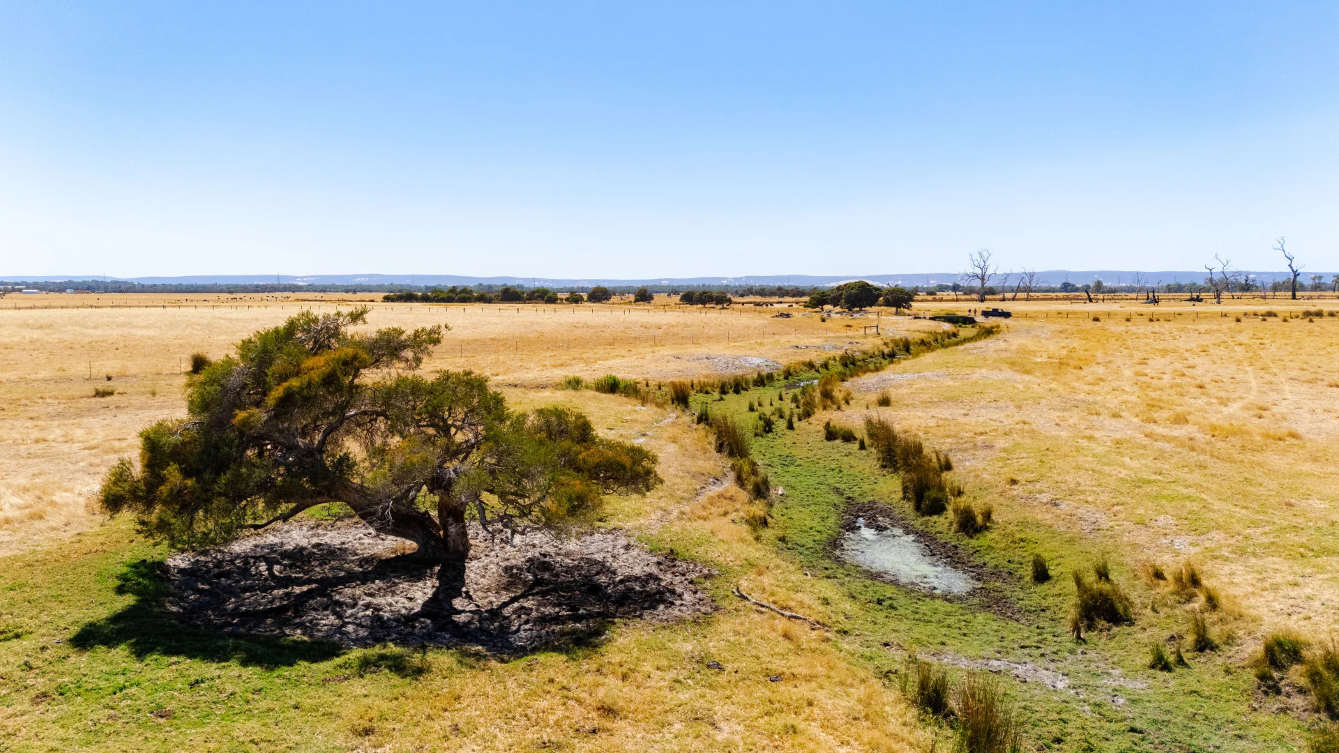 Additional image 16 of 1081 Buller Road, Waroona WA 6215