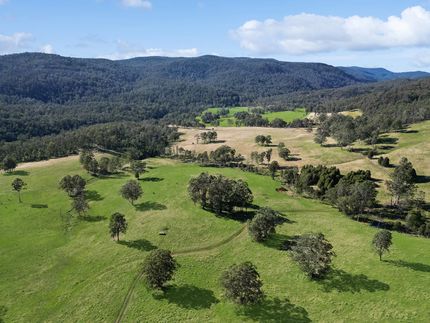 Additional image 18 of Nowendoc NSW 2354