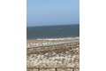 Additional image 11 of 1935 Ocean Ave Unit 20, Seaside Heights, NJ, 08751