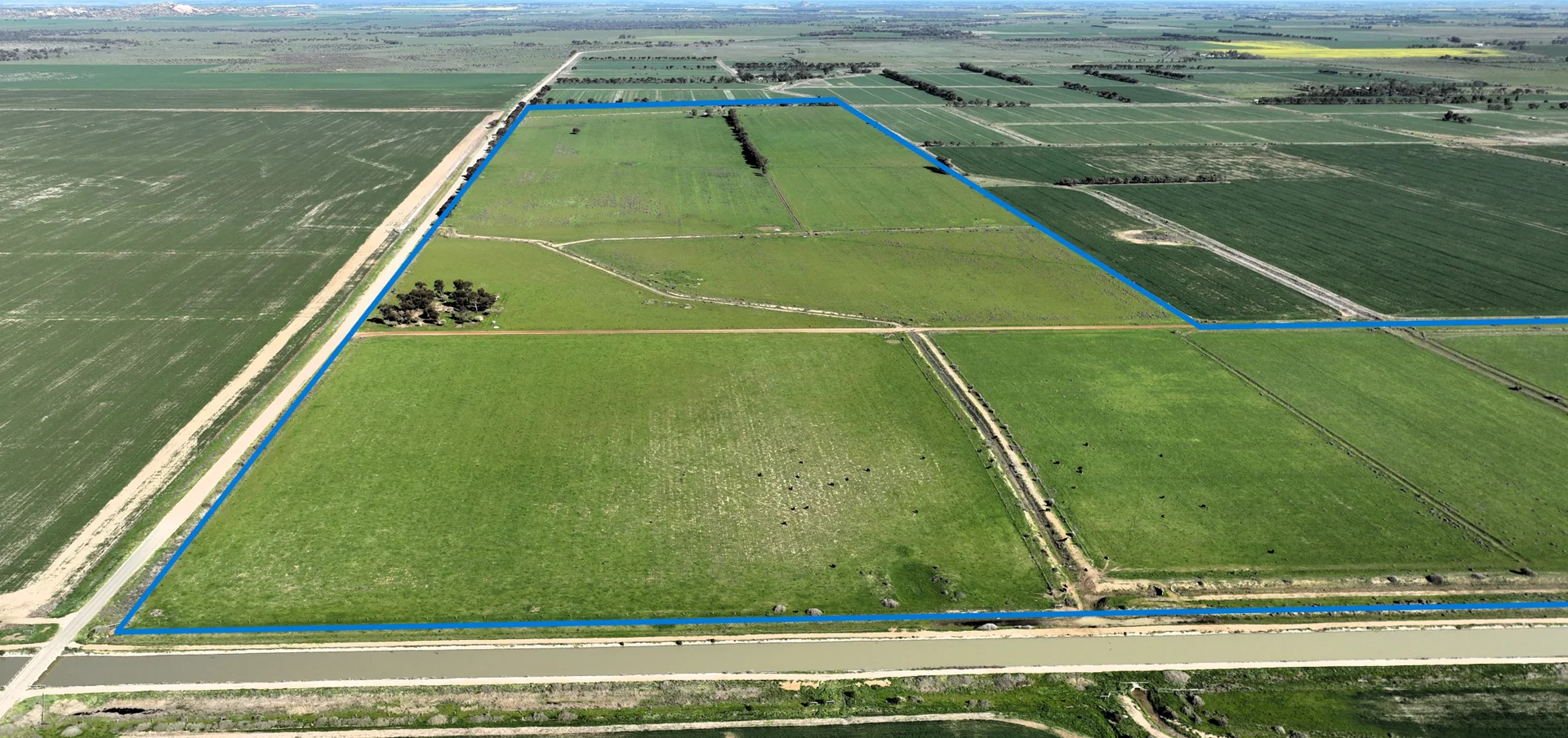 Additional image 7 of CA36, 40B & 41B Pyramid-Cohuna Road, Cohuna VIC 3568