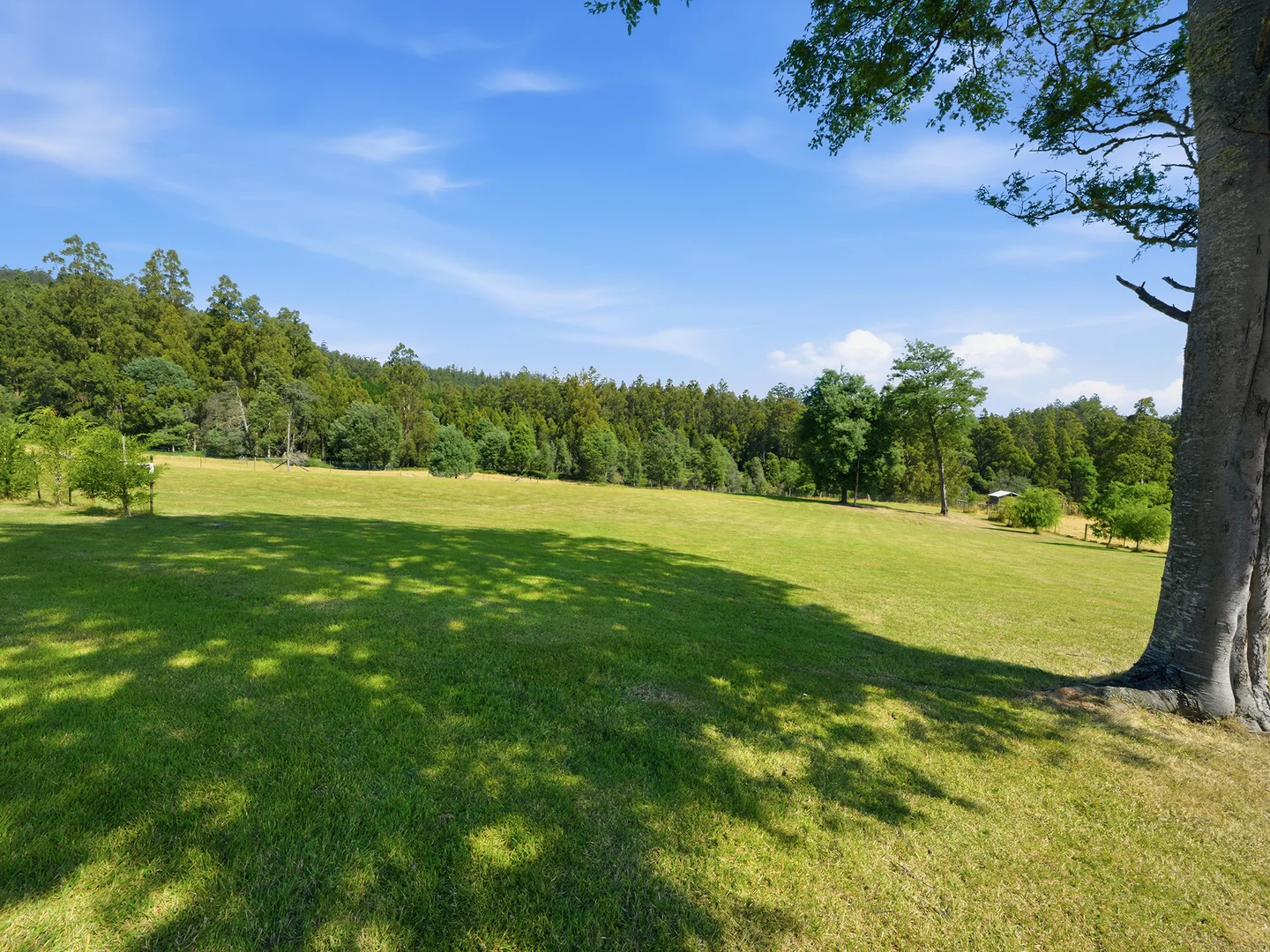 Additional image 30 of 42 Junee Road, Maydena TAS 7140