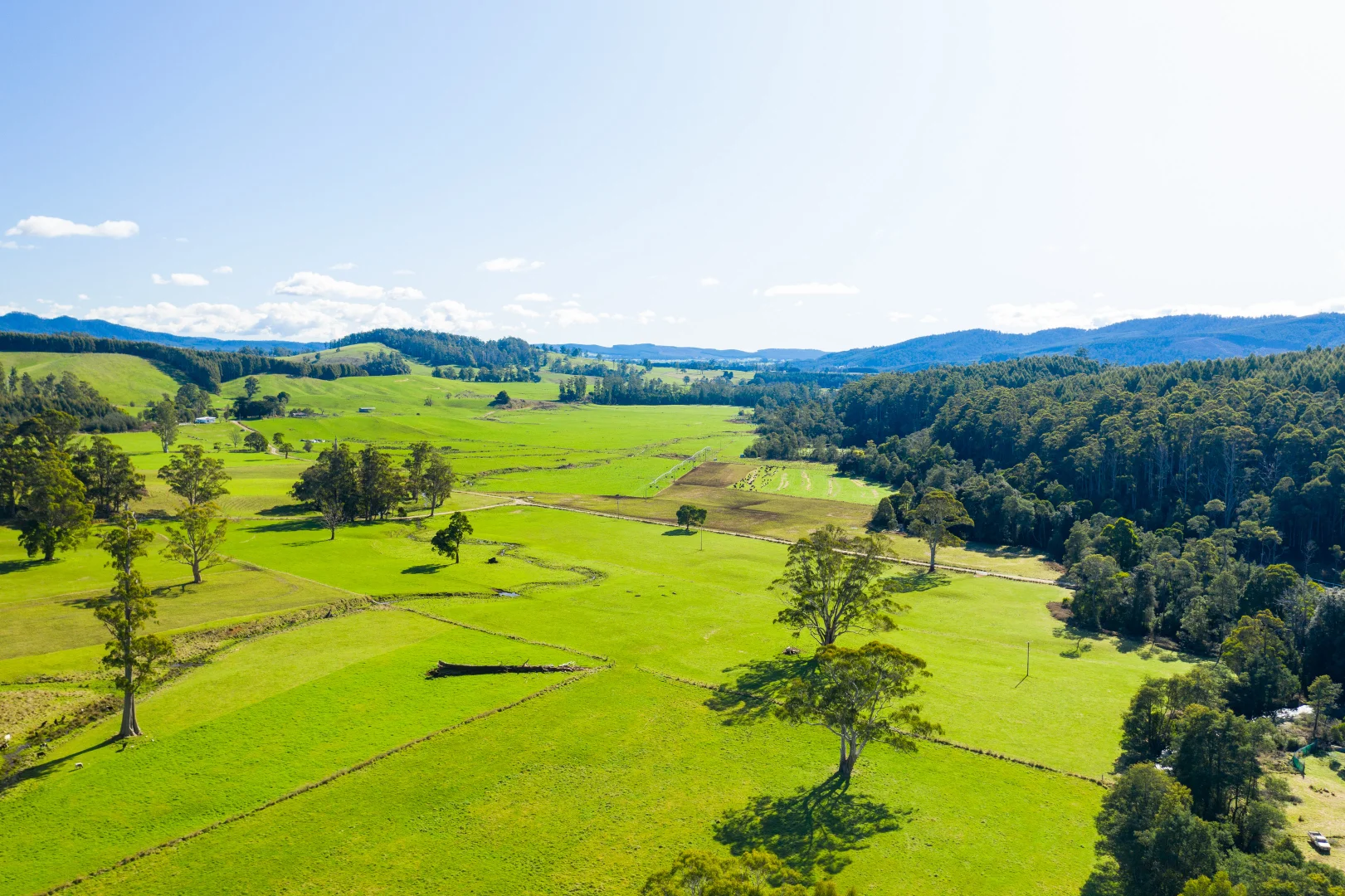 Additional image 2 of Alberton TAS 7263