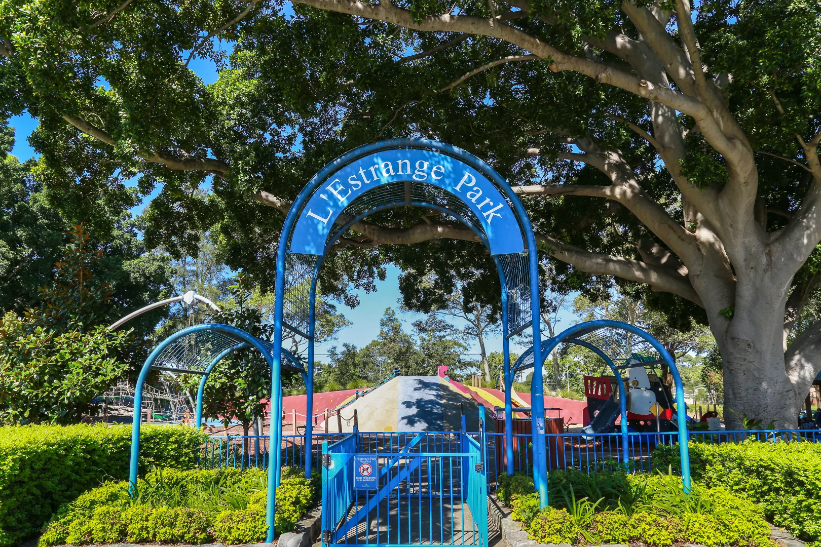 Additional image 11 of 50 Hardie Street, Mascot NSW 2020