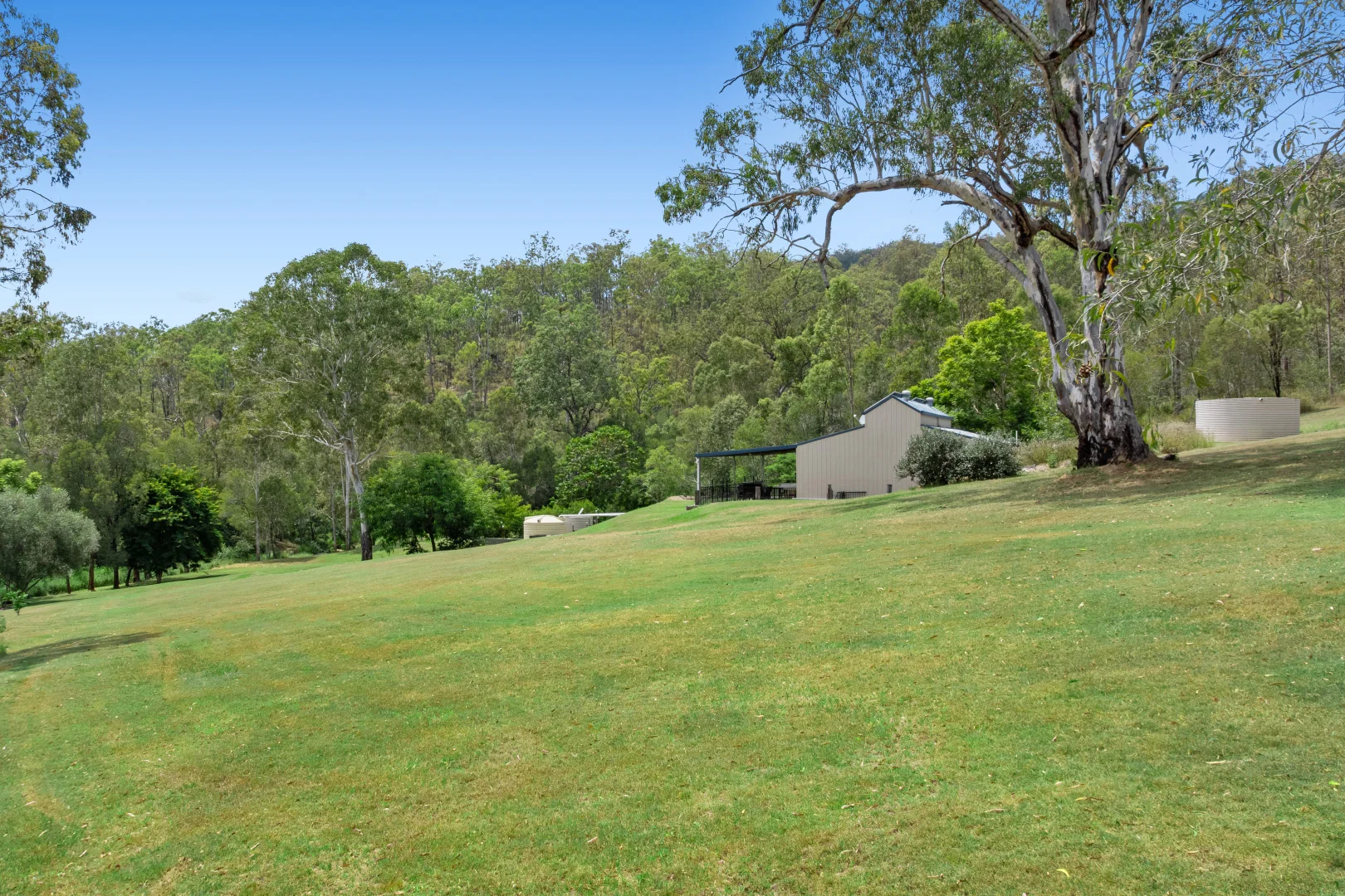 Additional image 21 of 1105 Wild Pig Creek Road, Undullah QLD 4285