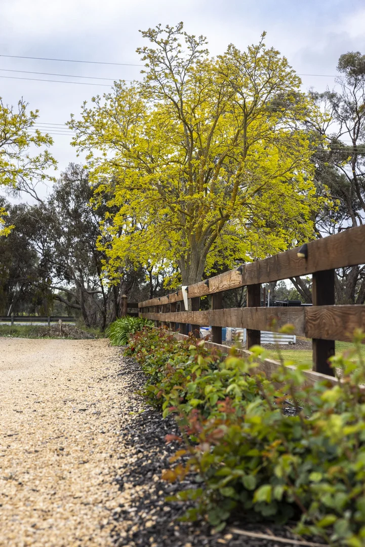 Additional image 34 of 47 Peramangk Road, Nuriootpa SA 5355