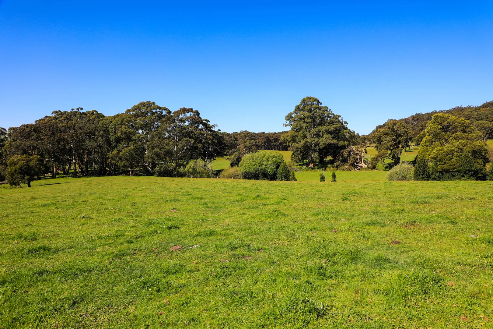 Additional image 15 of 154 Straws Lane, Hesket VIC 3442