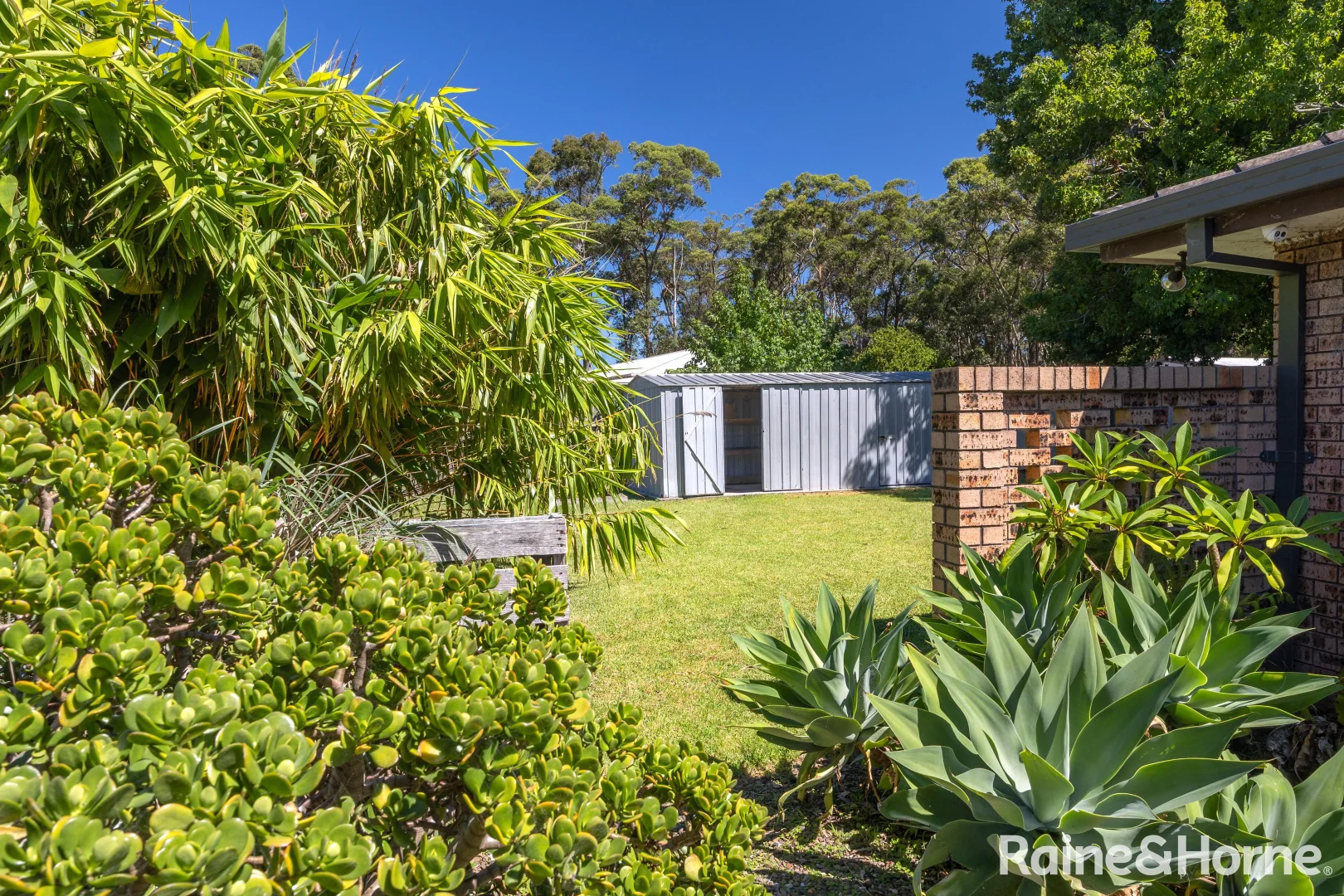 Additional image 10 of 56 Wyoming Ave, Burrill Lake NSW 2539