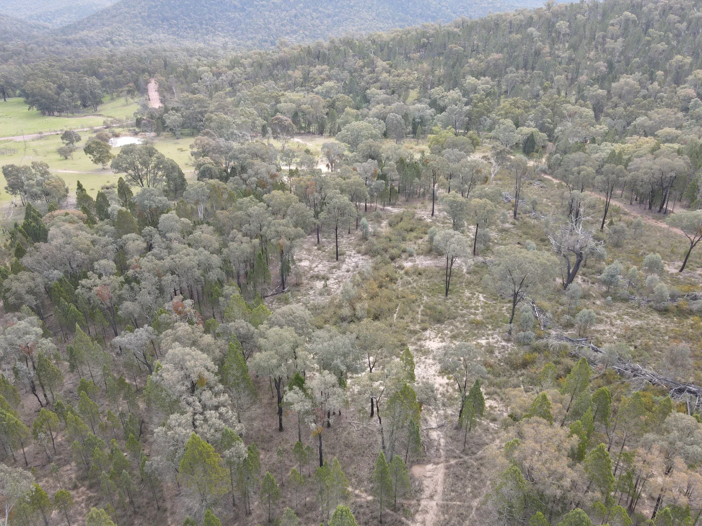 Additional image 20 of 1657 Kangarooby Road, Gooloogong NSW 2805