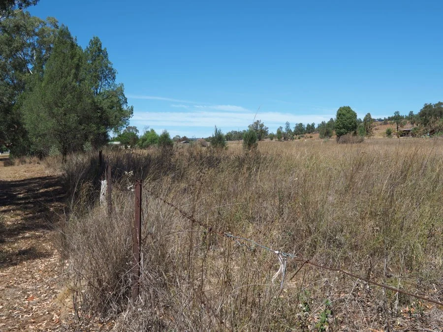 Additional image 4 of Lot 2 Narrabri Road, Bingara NSW 2404