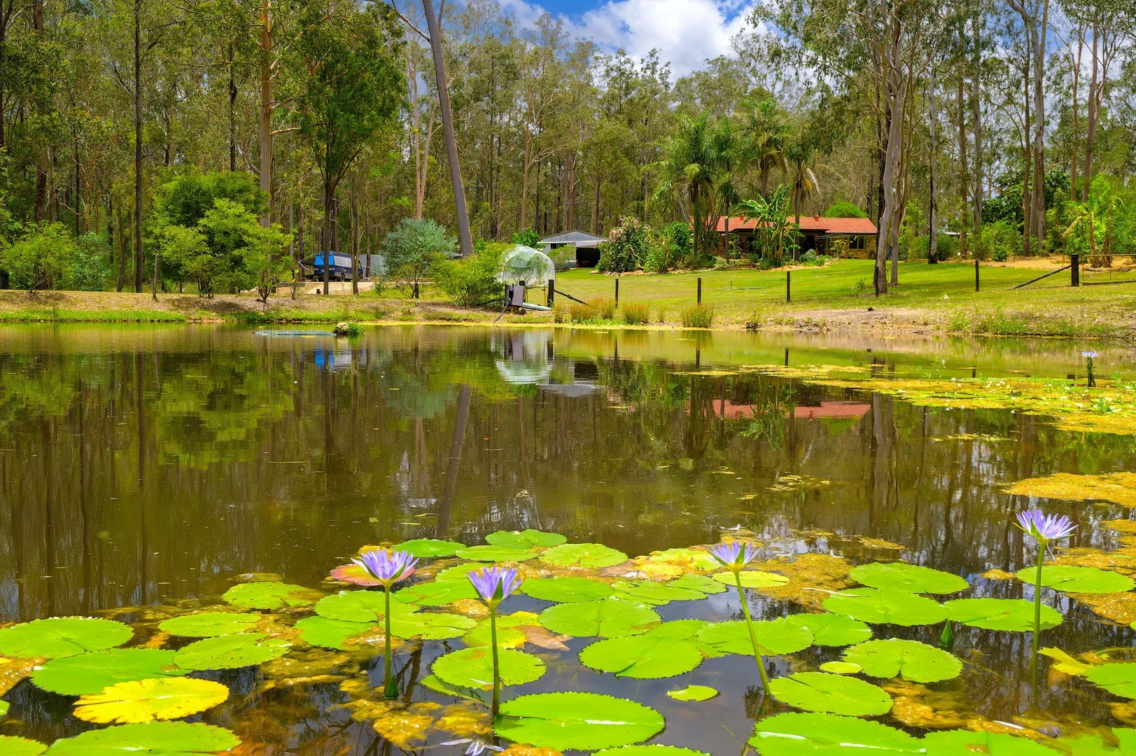 15 Arborseventeen Road, Glenwood QLD 4570