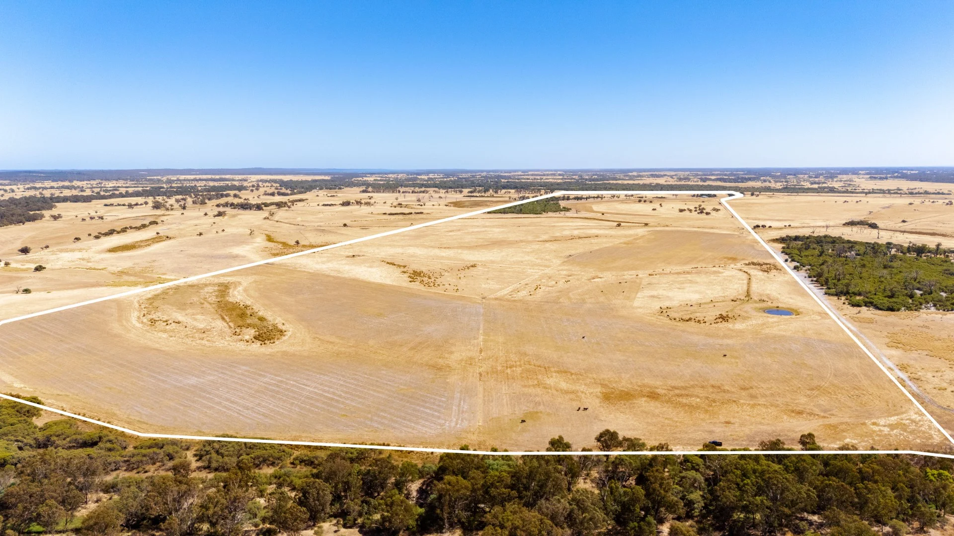 Additional image 12 of 1081 Buller Road, Waroona WA 6215