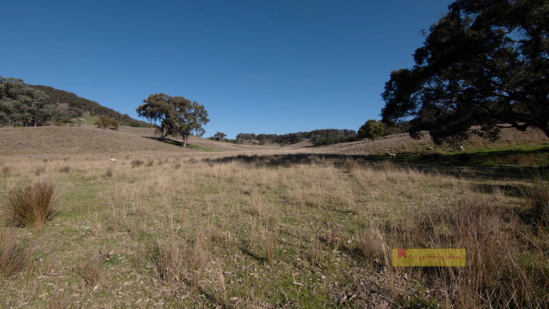 Additional image 33 of 2778 Ulan Road, Mudgee NSW 2850