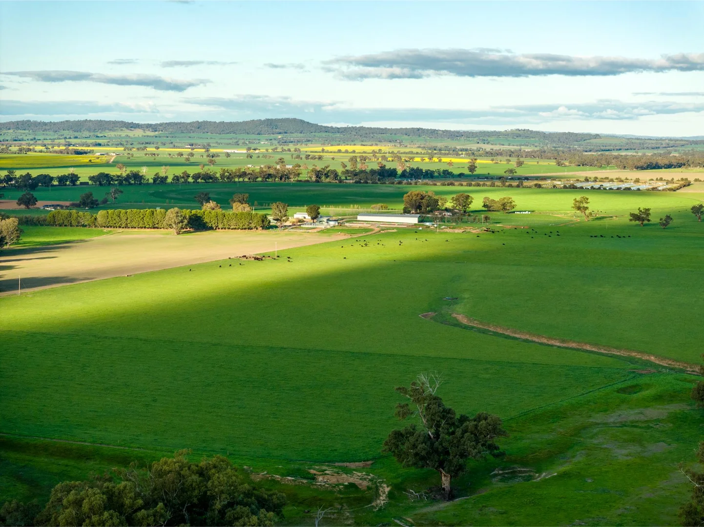 Additional image 12 of 1871 Old Narrandera Road, Euberta NSW 2650