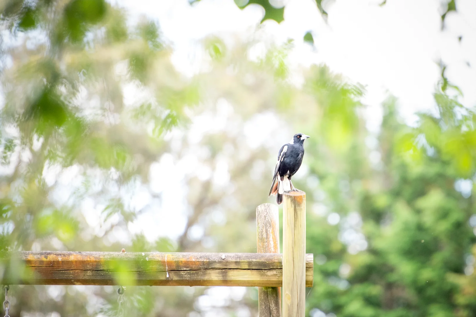 Additional image 26 of 64 Nathan Street, Berrima NSW 2577