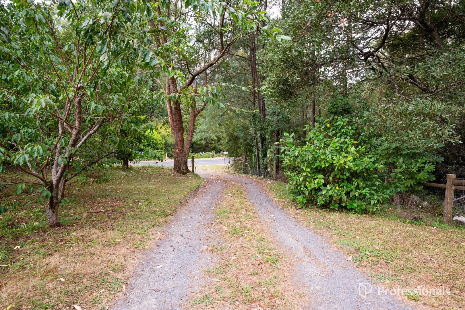 Additional image 26 of 492 Woods Point Road, East Warburton VIC 3799