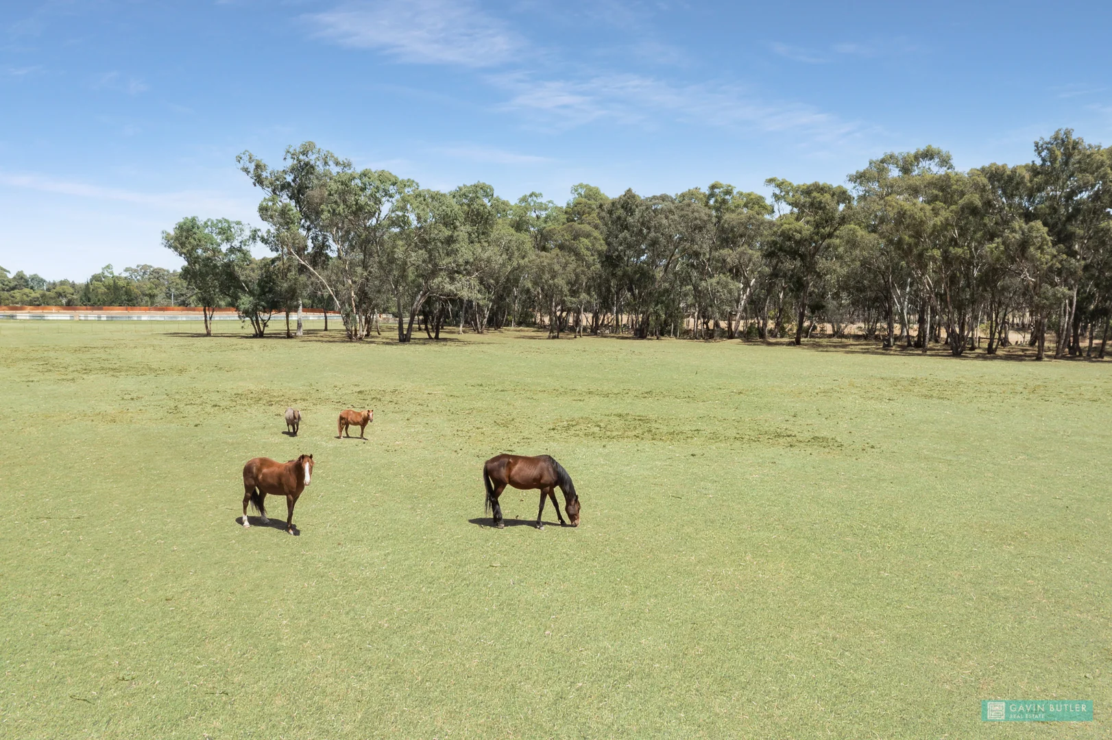 Additional image 8 of CA 152 Tackaberry Road, Eaglehawk VIC 3556