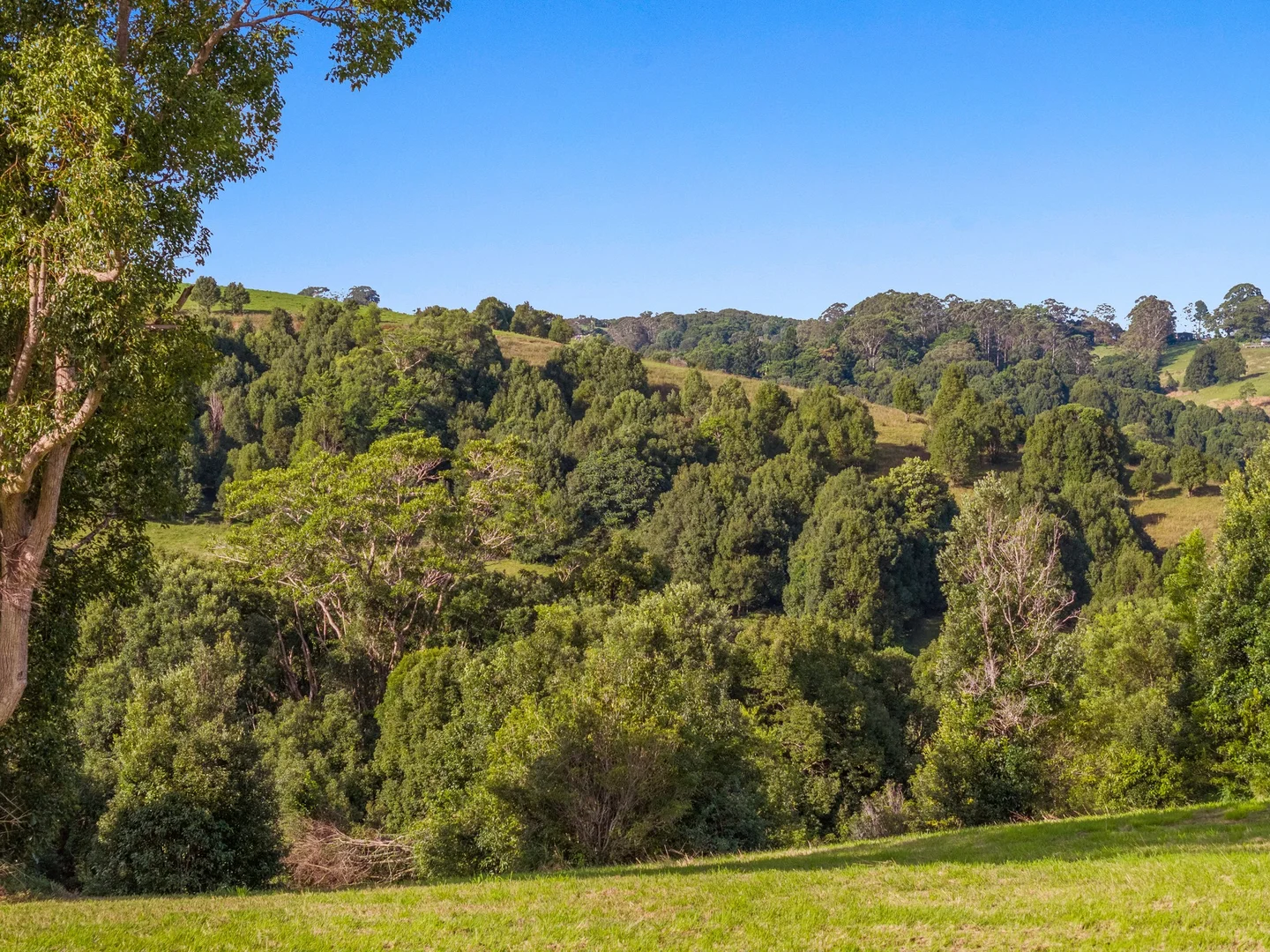 Additional image 12 of 22 Loch Lane, Coorabell NSW 2479