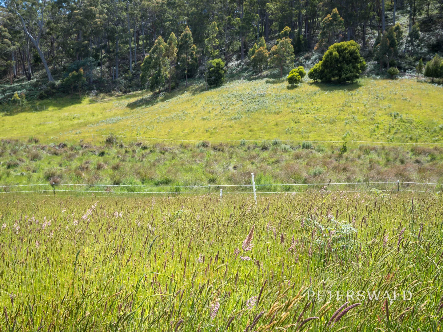 Additional image 14 of 109 Jones Road, Premaydena TAS 7185