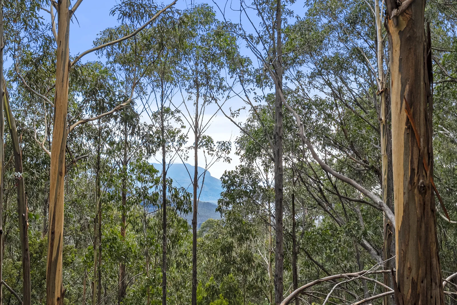 Additional image 11 of 35 Valley View Road, Margate TAS 7054