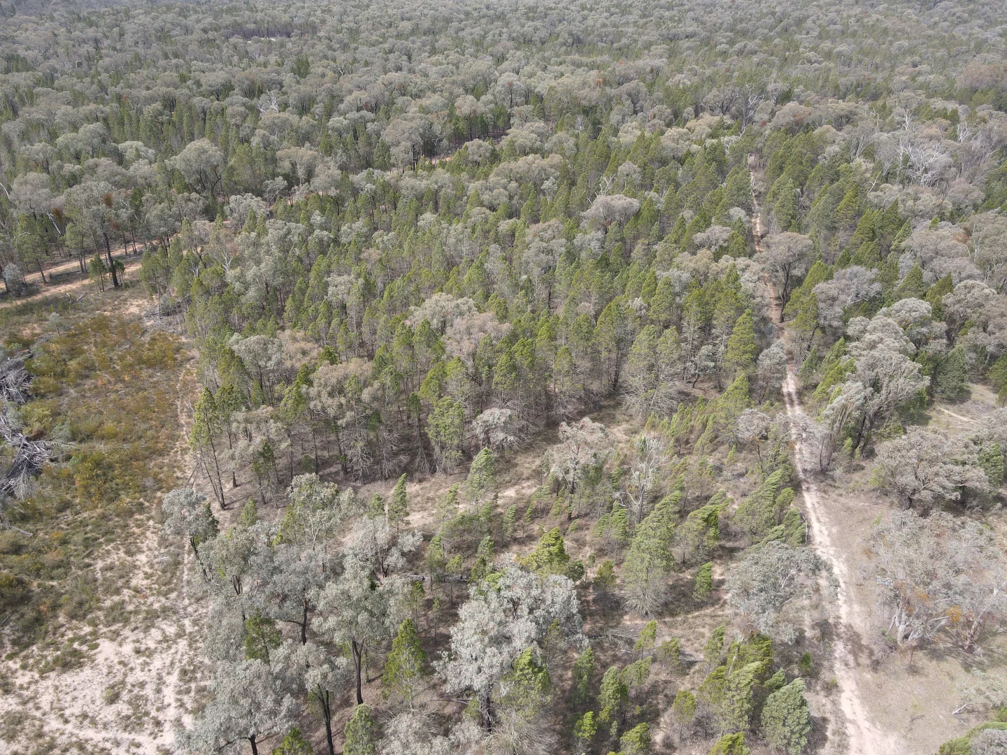 Additional image 27 of 1657 Kangarooby Road, Gooloogong NSW 2805