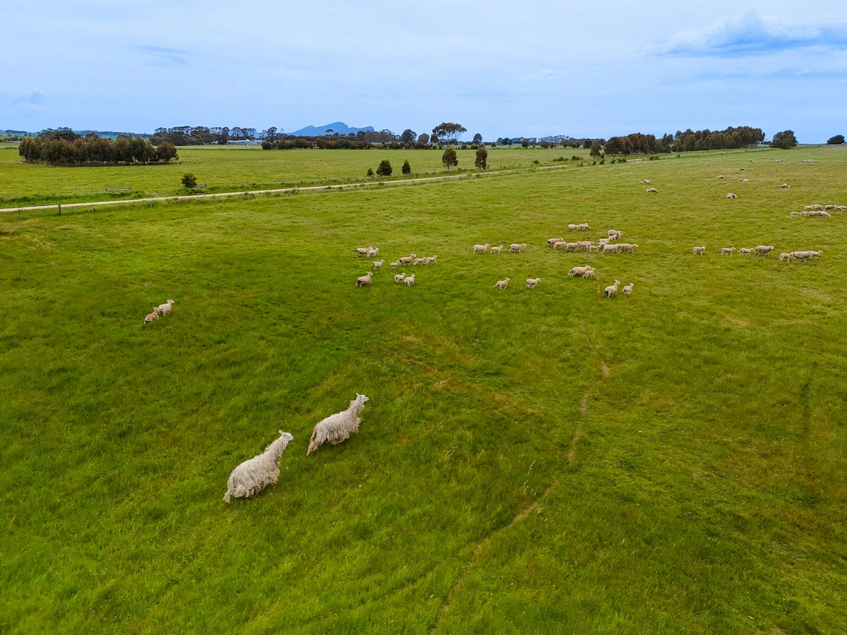 Additional image 10 of Huf's Back Lane, Warrayure VIC 3301