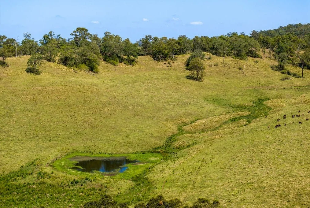 Additional image 13 of 93 Ellems Road, Kyogle NSW 2474