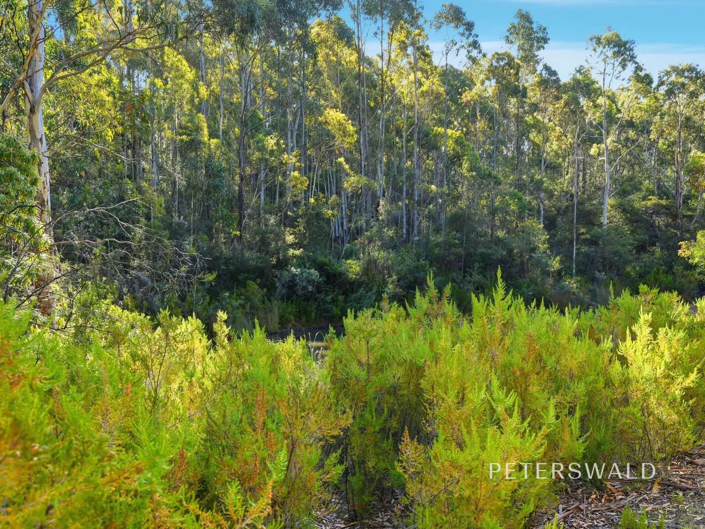 Additional image 4 of 3 Morphetts Road, Neika TAS 7054