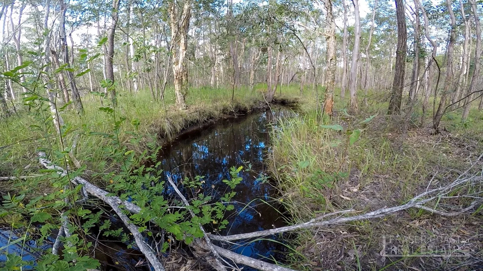 Additional image 40 of 51 Old Coach Road, Oakhurst QLD 4650