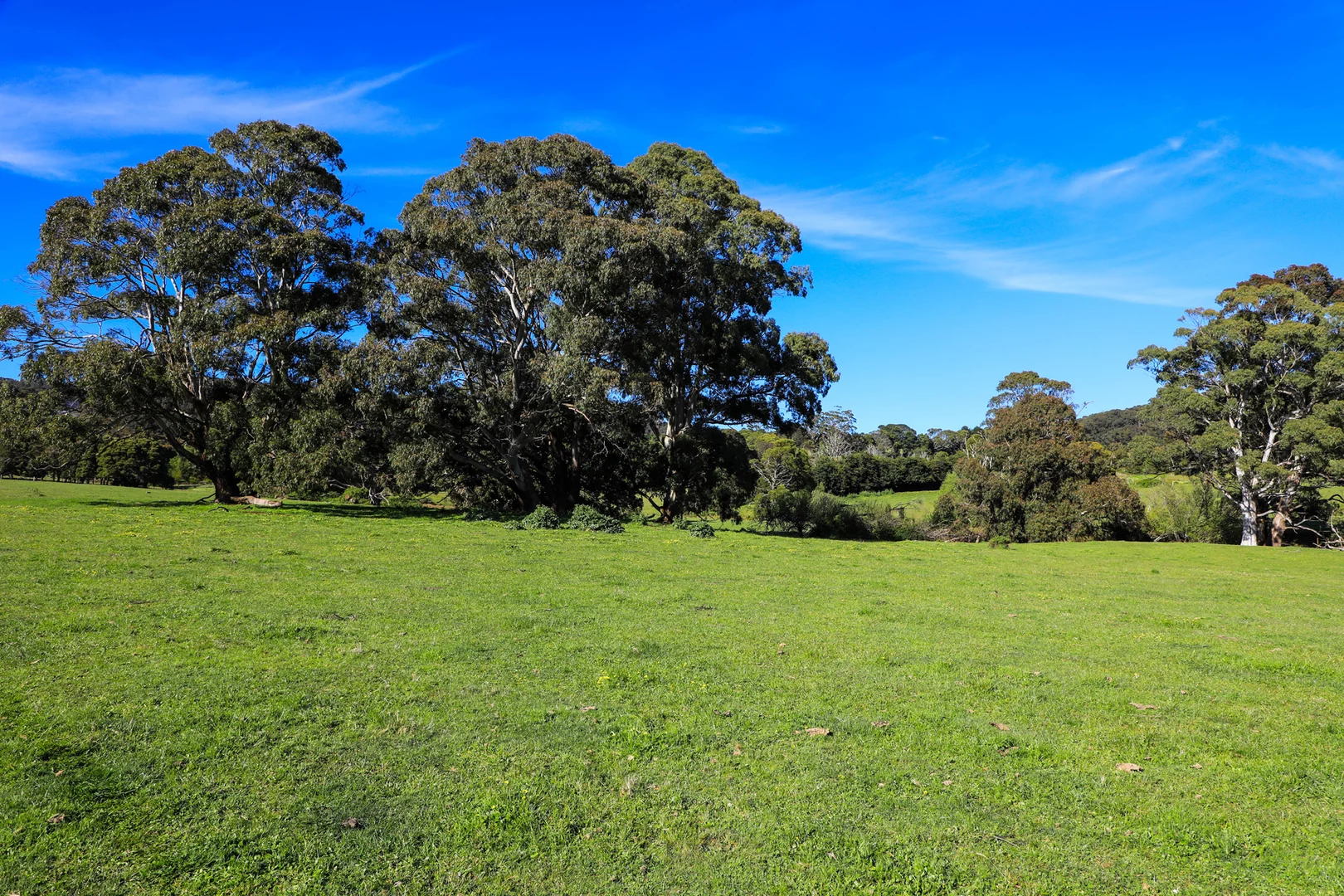 Additional image 17 of 154 Straws Lane, Hesket VIC 3442