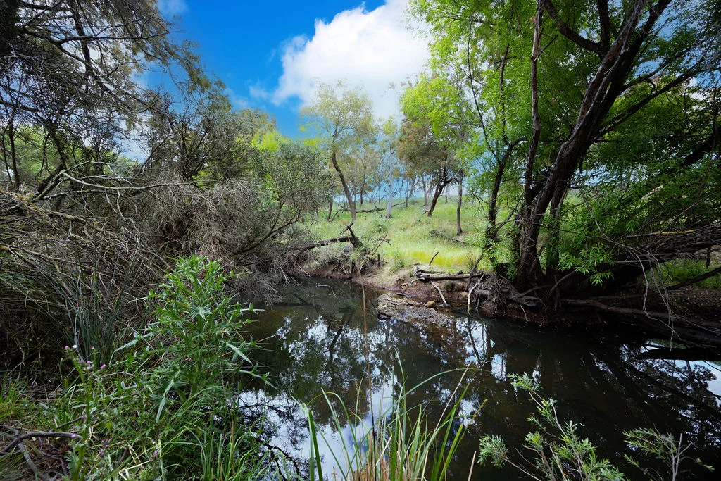 Additional image 16 of 1329 Egerton-Ballark Road, Bungal VIC 3334