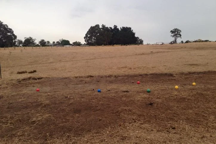 Additional image 8 of 70 Ridge View Avenue, Boyup Brook WA 6244