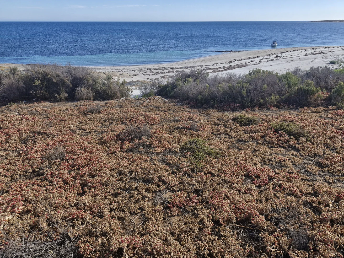Additional image 14 of Lot 21 Spilsby Island, Port Lincoln SA 5606