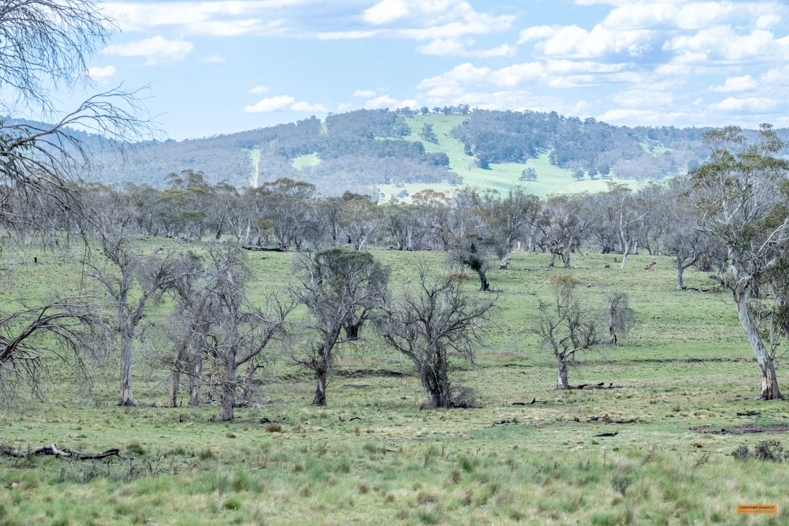 Additional image 18 of Lot 6 Avonside Road, Avonside NSW 2628