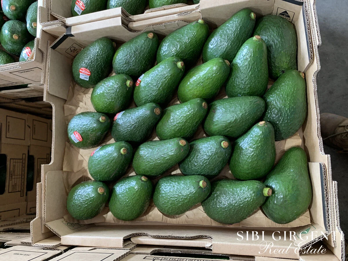 Additional image 20 of 1611 Mareeba-Dimbulah, Arriga QLD 4880