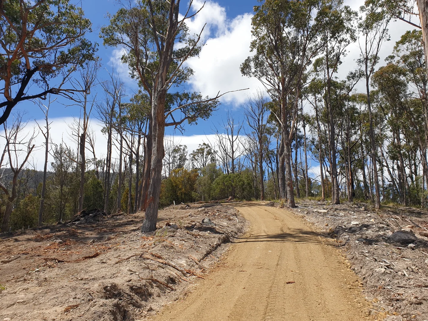 Additional image 7 of 9032 Channel Highway, Huonville TAS 7109