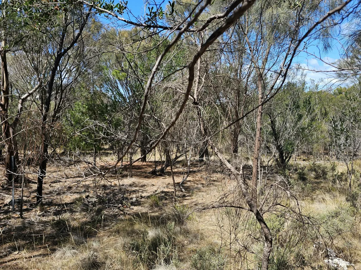 Additional image 4 of 3/5 Addison Street, Swansea TAS 7190