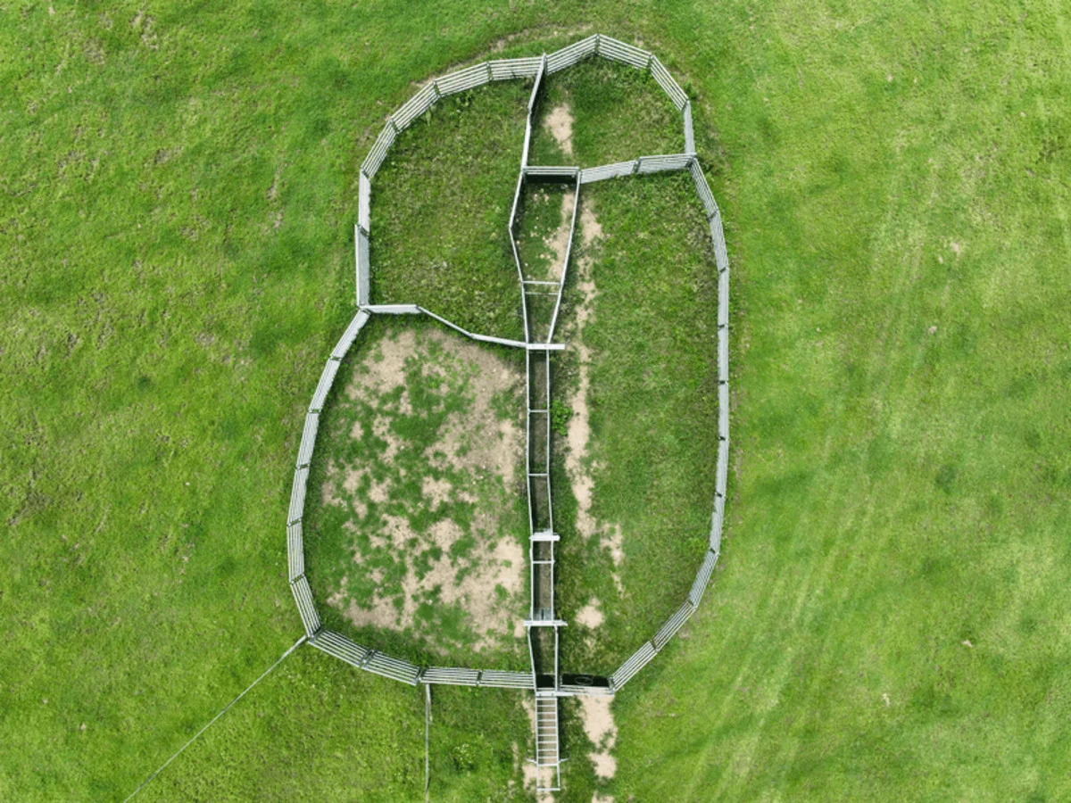 Additional image 6 of Paddy's Flat Road, Tabulam NSW 2469