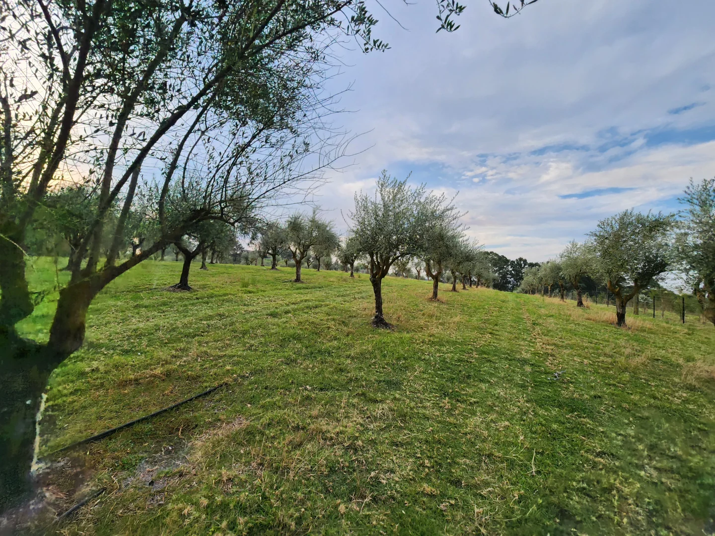 Additional image 42 of 100 Eltons Road, Silverdale NSW 2752